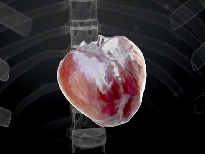 Medical Breakthrough: The World’s First Totally Robotic Heart Will End